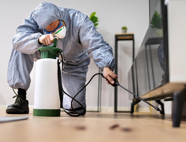 Residential pest control in Doha